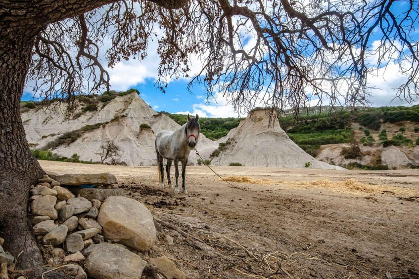 From Kissamos: Traditional villages & nature tour 1