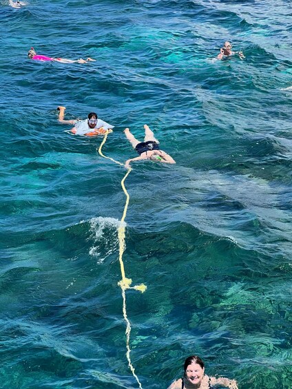 Picture 2 for Activity Tobago: Buccoo Reef Marine Park Speedboat Tour & Snorkeling 3