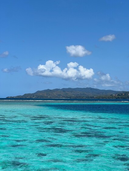 Tobago: Buccoo Reef Marine Park Speedboat Tour & Snorkeling 1