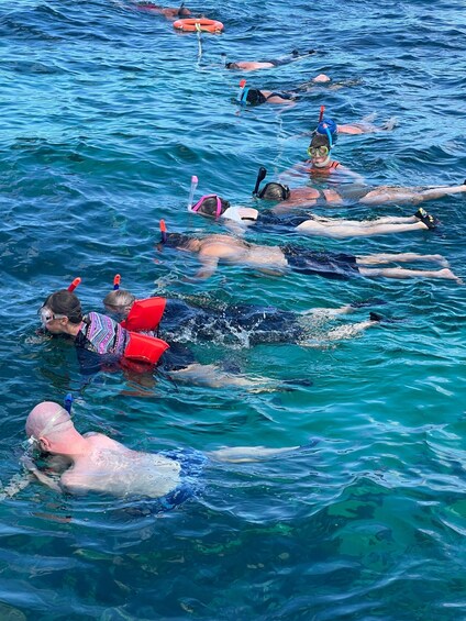Picture 1 for Activity Tobago: Buccoo Reef Marine Park Speedboat Tour & Snorkeling 2