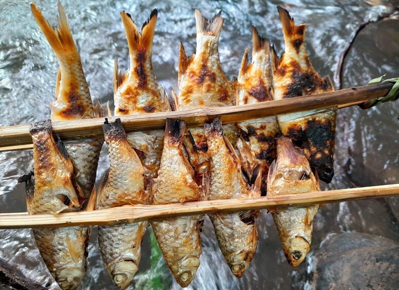 Picture 7 for Activity Vang Vieng: Local Fishing, Picnic & Kayaking Adventure 2