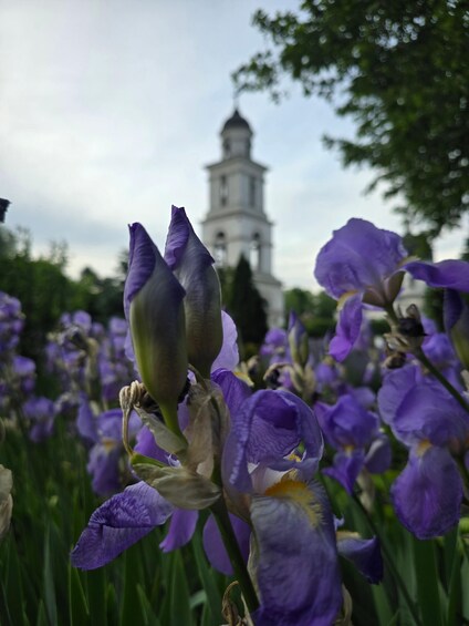 Picture 1 for Activity Chisinău: Walking Tour With Local Guide & Hidden Gems 3