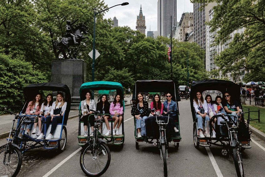 Picture 6 for Activity New York City: Home Alone 2 Central Park & Plaza Hotel Tour 2