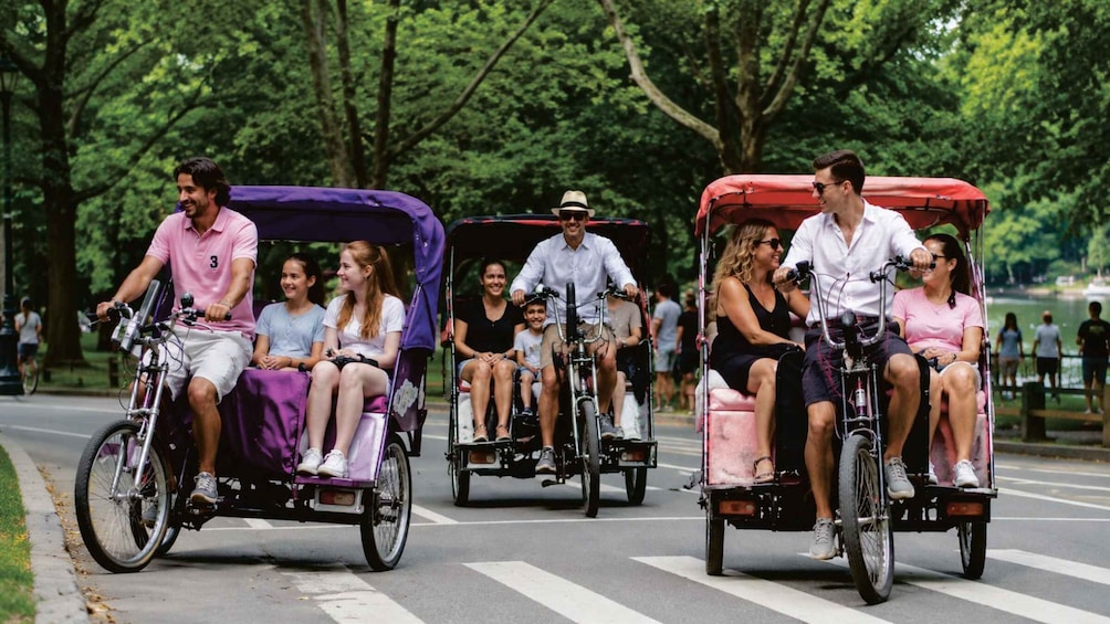 Picture 3 for Activity New York City: Home Alone 2 Central Park & Plaza Hotel Tour 5