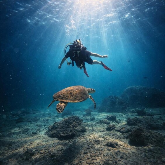 A diver and a sea turtle underwater. 2