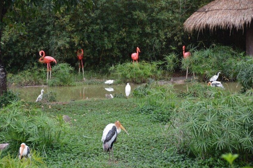 Vinpearl Safari Phu Quoc Safari Bus and Wildlife Adventure 4