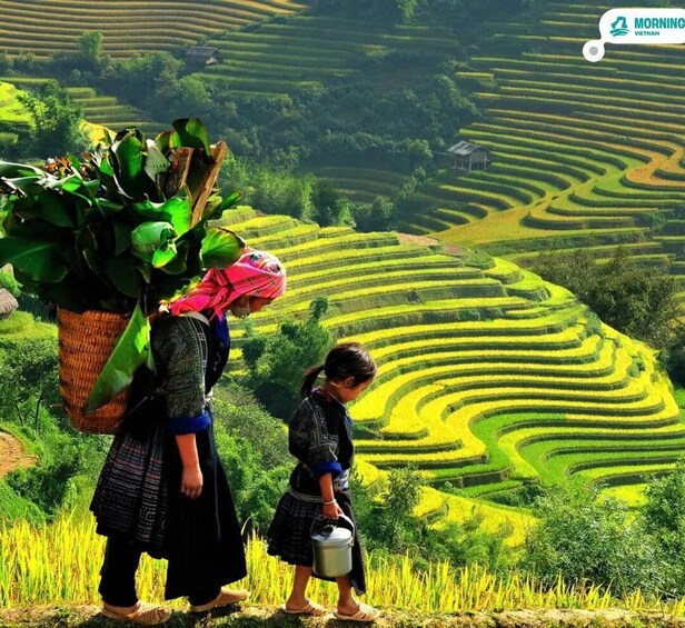 Picture 2 for Activity Sapa - Nam Cang 1 Day Tour: Village & Terraced Fields 4