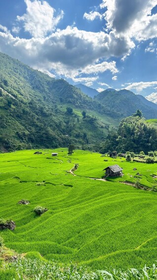 Sapa - Nam Cang 1 Day Tour: Village & Terraced Fields 1