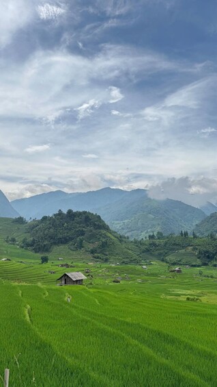 Picture 5 for Activity Sapa - Nam Cang 1 Day Tour: Village & Terraced Fields 2
