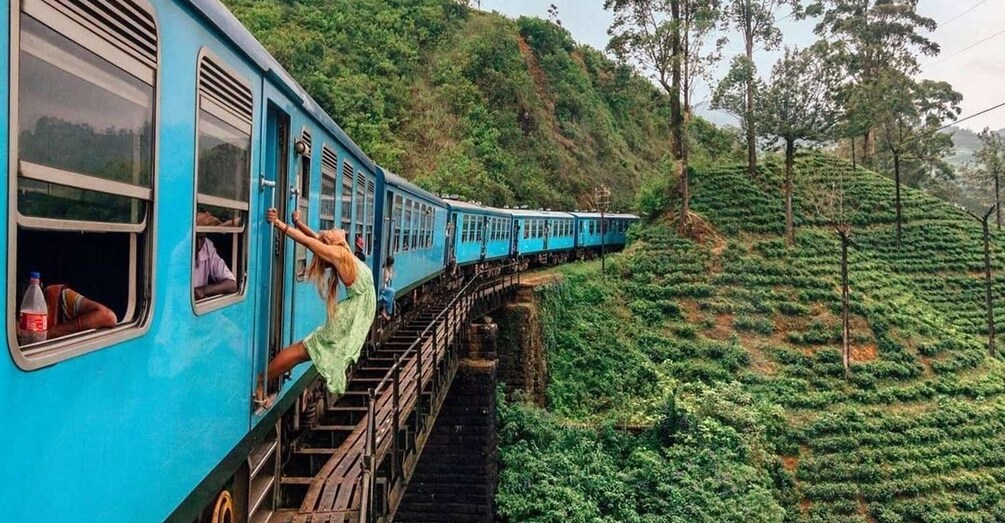 From Riu Hotel: Ella Tea Factory Tour with Scenic Train Ride 1