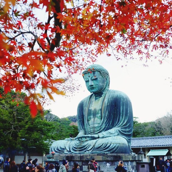 Picture 5 for Activity From Tokyo: Kamakura Enoshima Custom Itinerary Private Tour 3