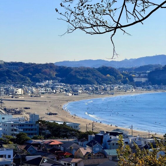 Picture 4 for Activity From Tokyo: Kamakura Enoshima Custom Itinerary Private Tour 2