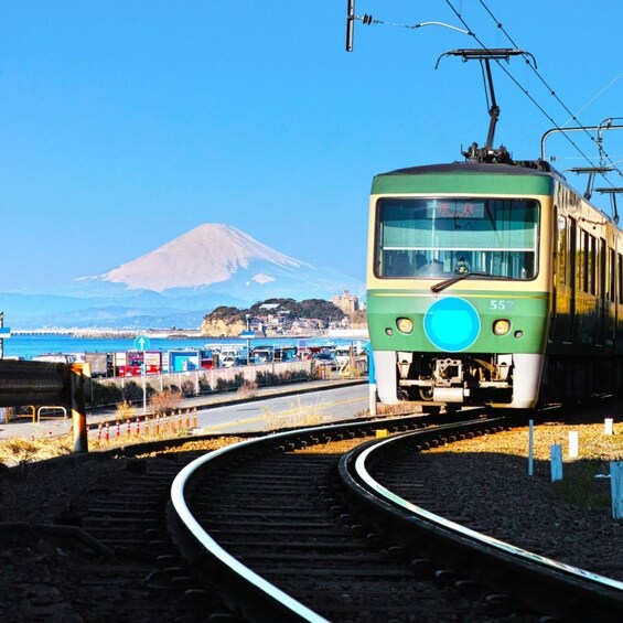 Picture 3 for Activity From Tokyo: Kamakura Enoshima Custom Itinerary Private Tour 4