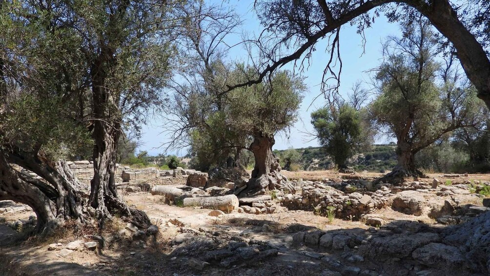 Picture 5 for Activity Plakias Tours: Cretan History at Three Places 3