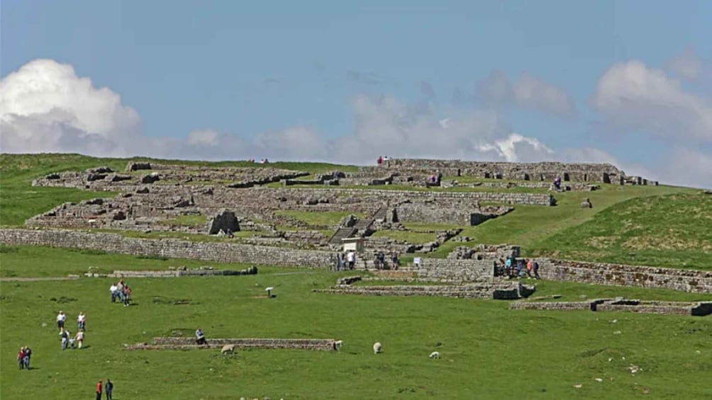 Picture 3 for Activity Hexham: Hadrian's Wall Private Tour with Pickup 2