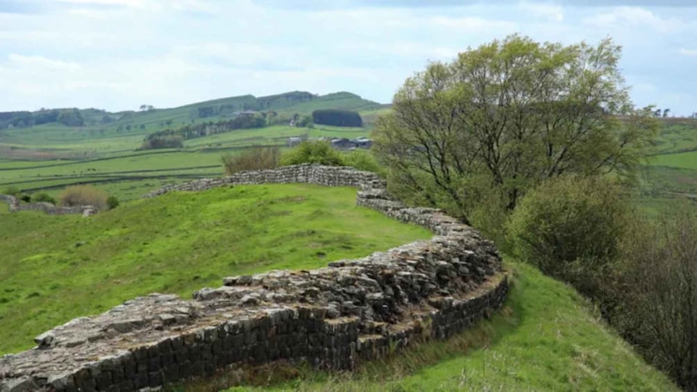 Picture 5 for Activity Hexham: Hadrian's Wall Private Tour with Pickup 5