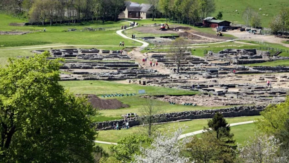 Picture 7 for Activity Hexham: Hadrian's Wall Private Tour with Pickup 3
