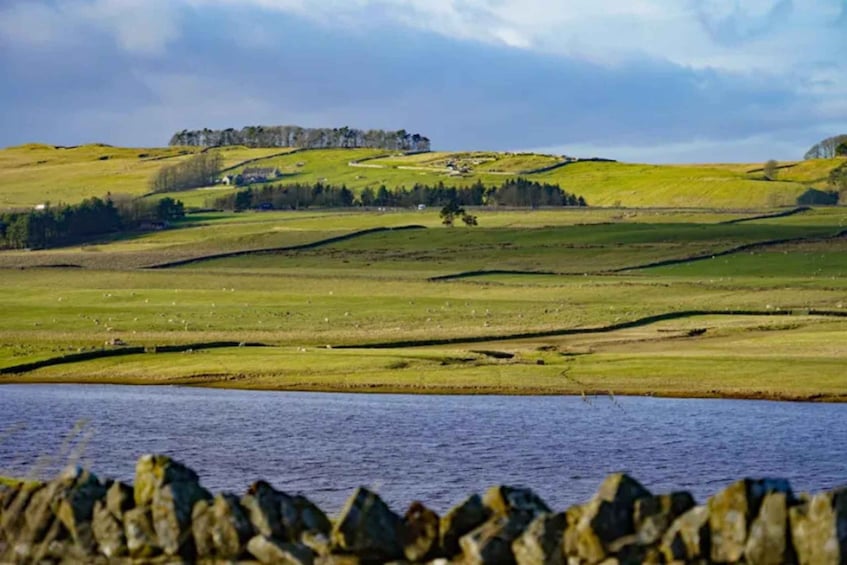 Picture 2 for Activity Hexham: Hadrian's Wall Private Tour with Pickup 4