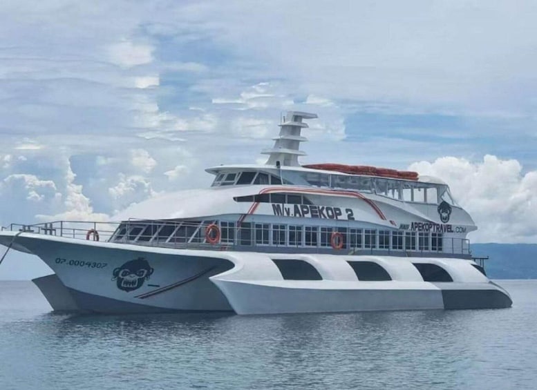 Picture 6 for Activity Bohol to Oslob Ferry | Convenient Whale Shark Watching Route 4