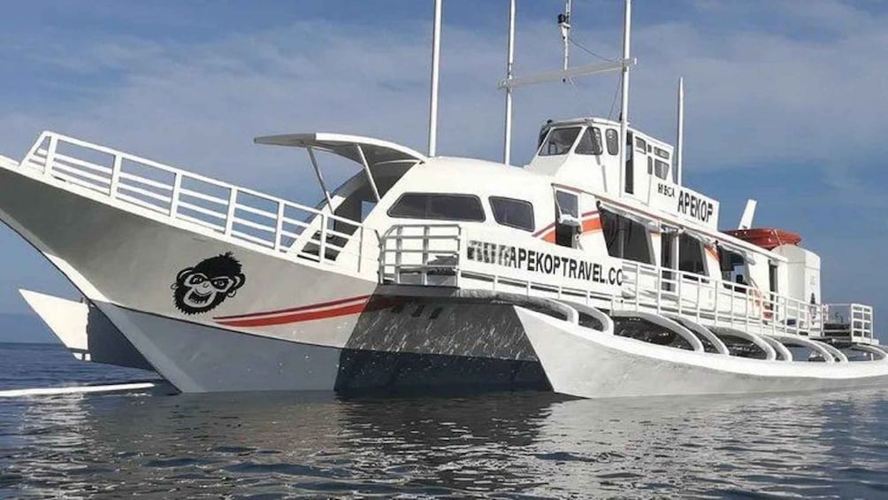 Picture 4 for Activity Bohol to Oslob Ferry | Convenient Whale Shark Watching Route 3