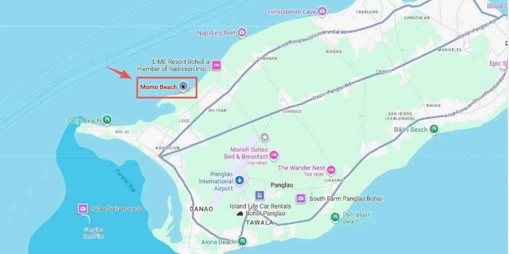 Picture 2 for Activity Bohol to Oslob Ferry | Convenient Whale Shark Watching Route 2