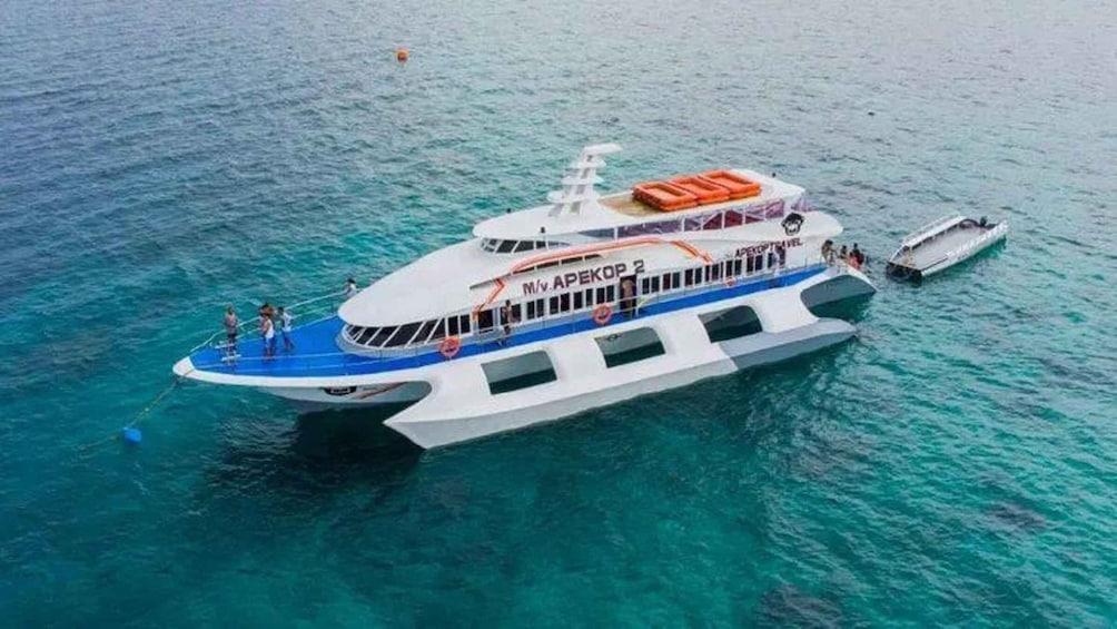 Bohol to Oslob Ferry | Convenient Whale Shark Watching Route 1