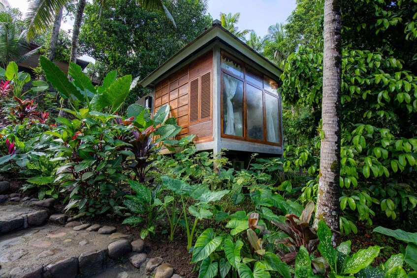 Picture 6 for Activity Bali: 3-Day Jungle Retreat with Tie-Dye Workshop & Yoga 2