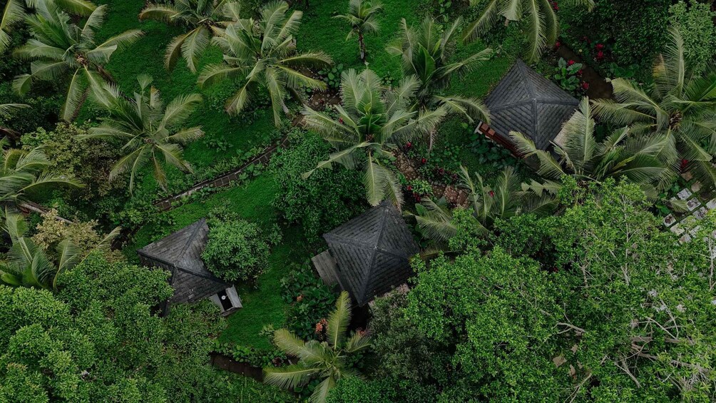 Picture 4 for Activity Bali: 3-Day Jungle Retreat with Tie-Dye Workshop & Yoga 4