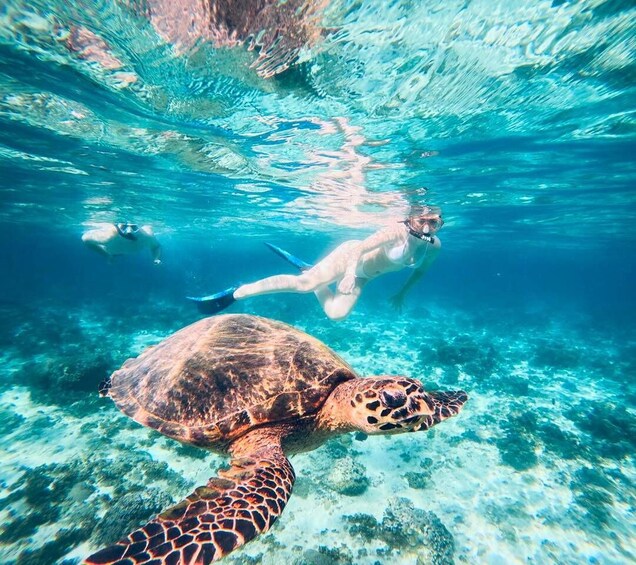 Gili Islands: Private Snorkeling tour free Documentation 1
