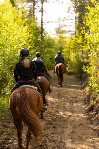 Picture 6 for Activity Kuusamo: Guided Finnhorse Ride with Fire-Side Experience 5