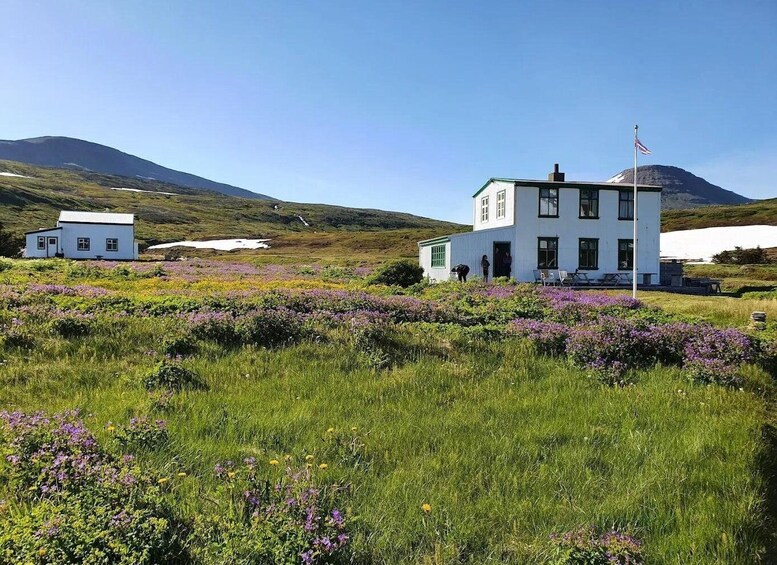 Picture 1 for Activity From Ísafjörður: History at Hesteyri 5