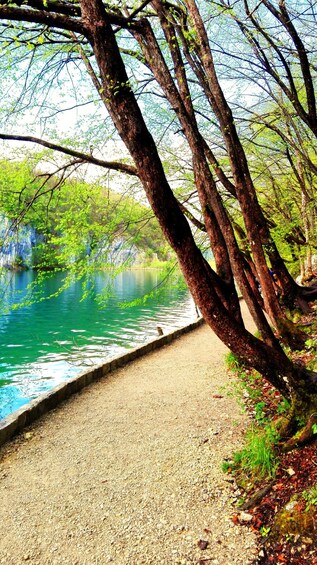 A gravel path beside a calm river with trees and greenery. 4