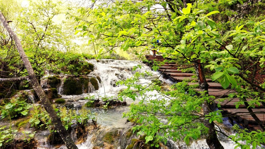 Picture 8 for Activity Plitvice Lakes: Your Private Guided Tour 5