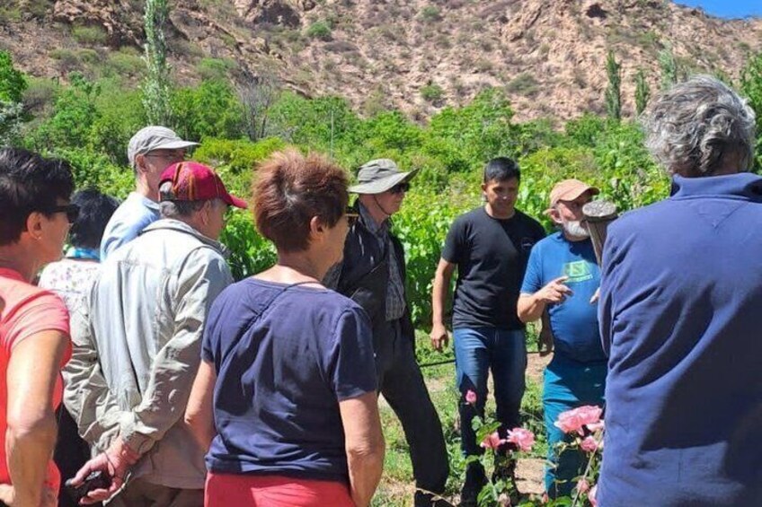 CAFAYATE Wine and Nature 6 km from Centro DIvisadero 2