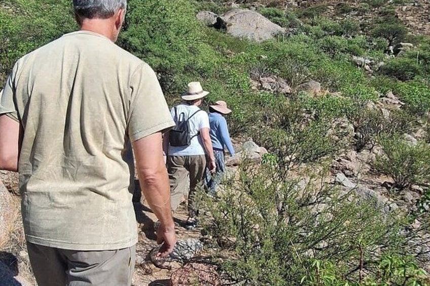 A group of people hiking on a rocky trail surrounded by sparse vegetation. 3