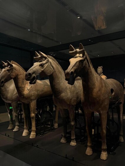 A display of ancient terracotta horse statues in a museum. 2