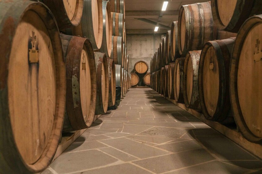 A row of wooden wine barrels in a dimly lit cellar. 5