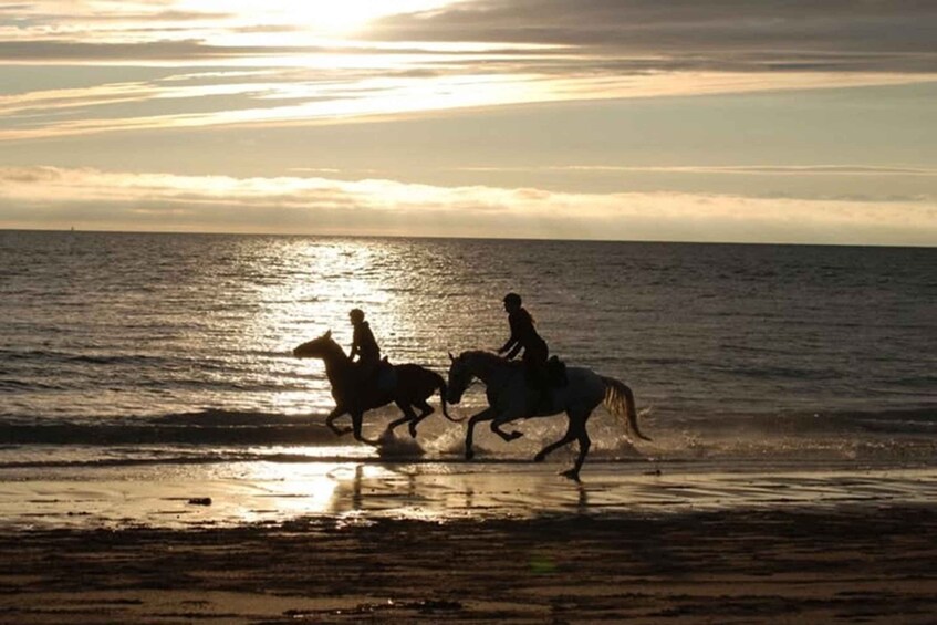 Picture 3 for Activity Bali: Sunset Beach Horse Riding 4