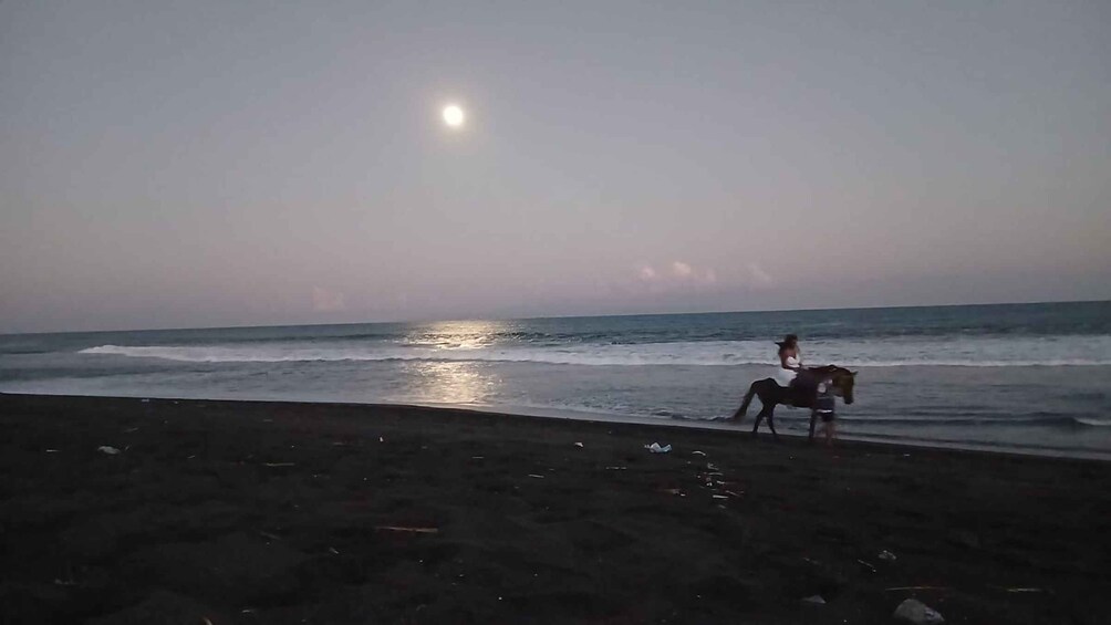 Picture 9 for Activity Bali: Sunset Beach Horse Riding 5