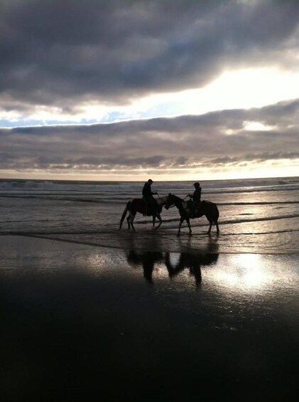 Silhouettes of two people riding horses on a beach at sunset. 3