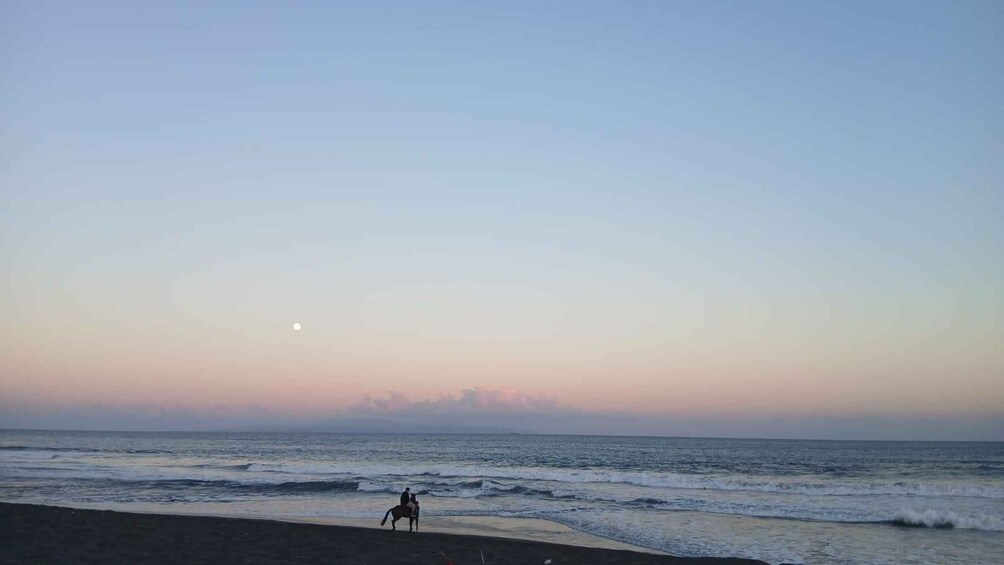 Picture 10 for Activity Bali: Sunset Beach Horse Riding 2