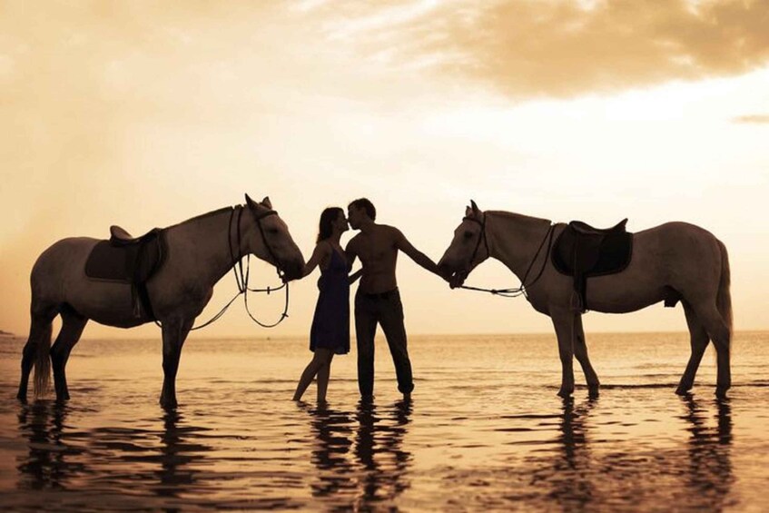 Picture 4 for Activity Bali: Sunset Beach Horse Riding 3