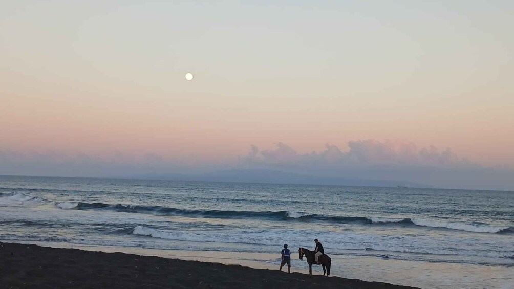Picture 11 for Activity Bali: Sunset Beach Horse Riding 3