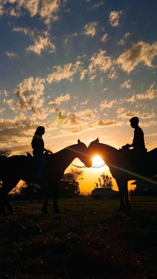Picture 3 for Activity Bali: Sunset Beach Horse Riding 2
