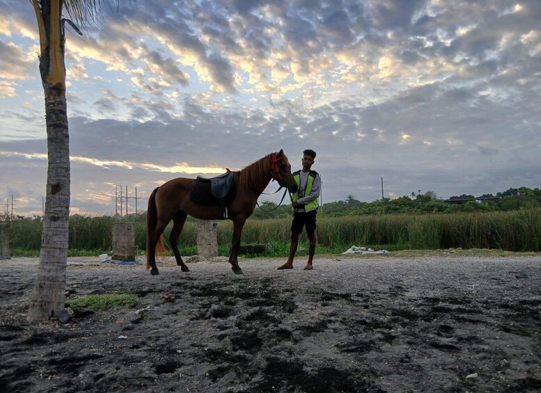 A person leading a horse on a dirt path with a palm tree and a cloudy sky in the background. 5