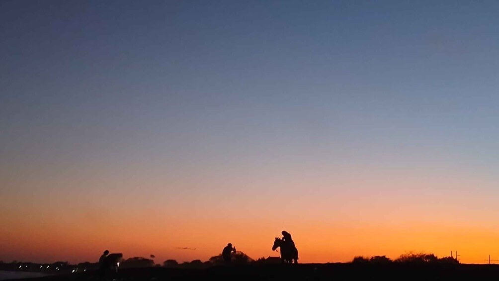 Picture 8 for Activity Bali: Sunset Beach Horse Riding 4