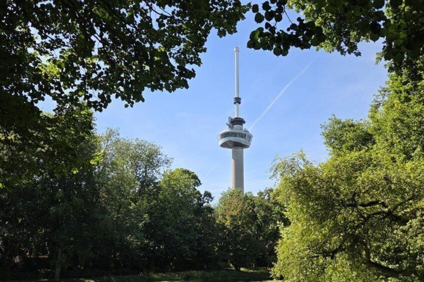 Rotterdam Self Guided Highlights and Hidden Gems Walking Tour 5