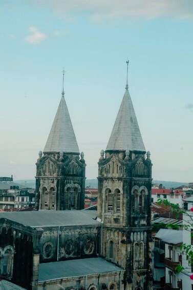 Picture 5 for Activity Stone Town, Spice tour, Prison Island & Nakupenda with BBQ 4