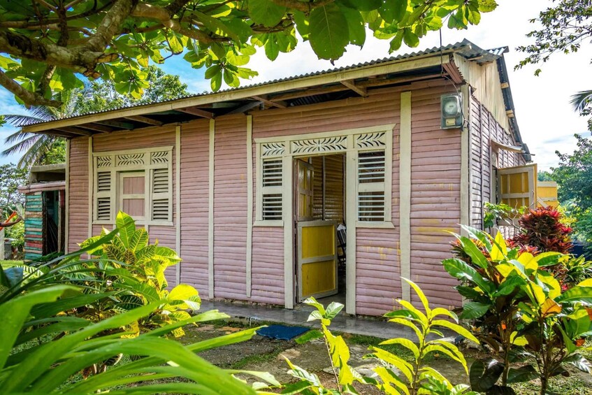 A pink wooden house with decorative shutters, surrounded by lush greenery and a clear sky. 5