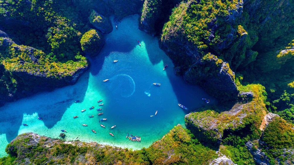 Picture 3 for Activity Phuket: Phi Phi & Khai island Small Group Speedboat Tour 4